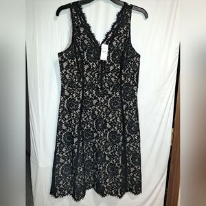 NWT Anne Taylor LOFT Size 6 Lace Dress